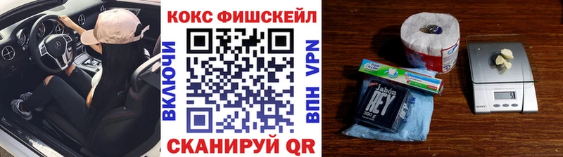 OMG ссылка  Анадырь  Cocaine FishScale  купить  цена 