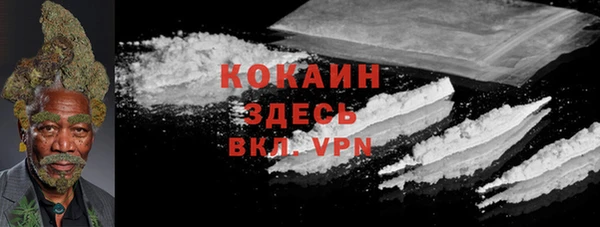 дмт Алзамай