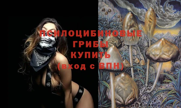 дмт Алзамай