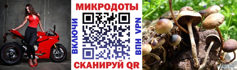 даркнет сайт  Анадырь  сайты даркнета какой сайт  Псилоцибиновые грибы Cubensis 