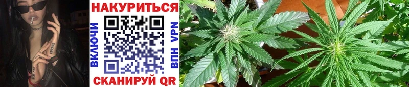 МАРИХУАНА Amnesia  купить   Анадырь 